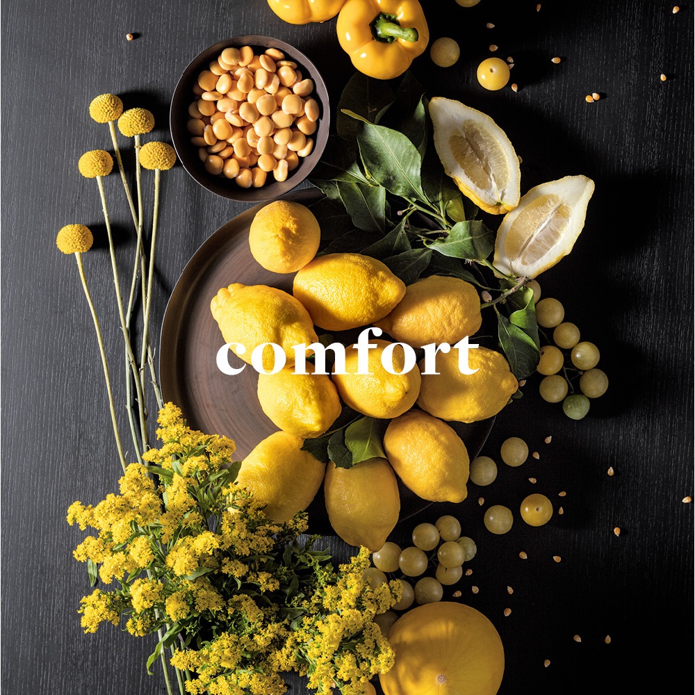 Falmec S.p.a. | Modern Cooker Hoods, Filtering Hood, Air Purifying Hood