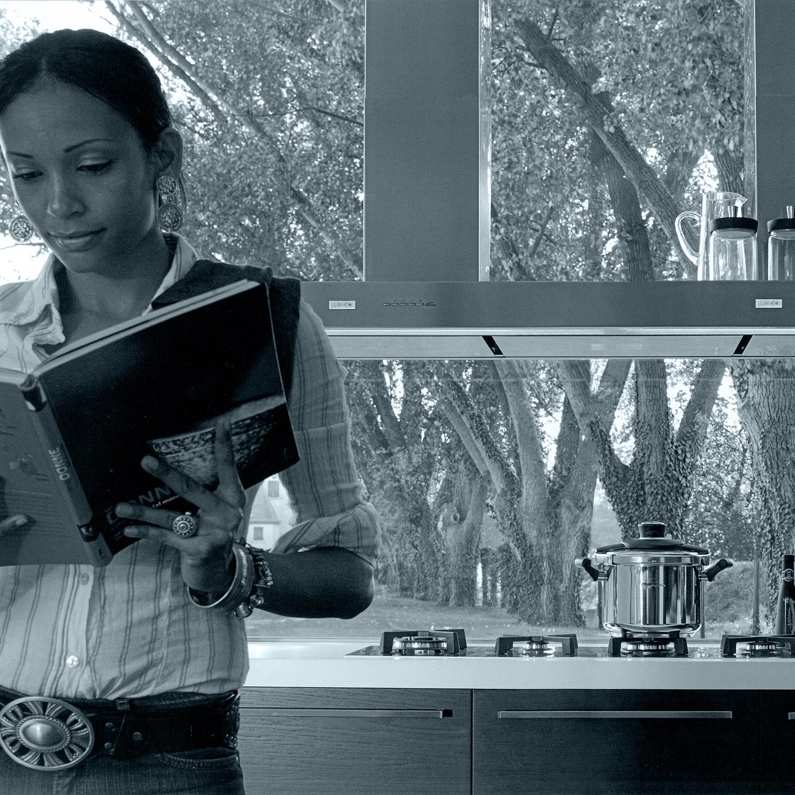 Falmec S.p.a. | Modern Cooker Hoods, Filtering Hood, Air Purifying Hood